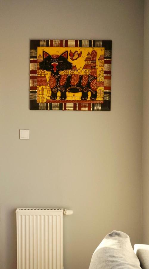 Apartament Lublin Centrum "Foxy Cat" Esterno foto